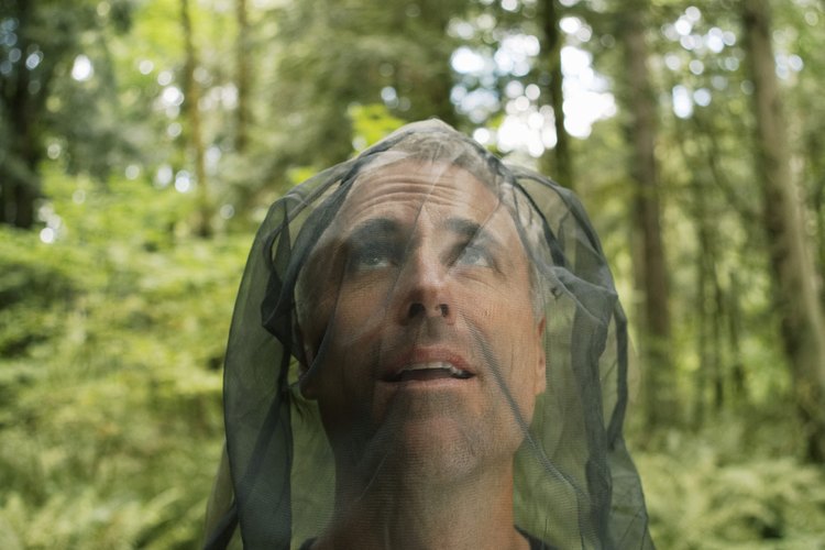 Utilizar ropa que te proteja puede ayudar a prevenir las dolorosas y molestas mordidas de los insectos del camino.