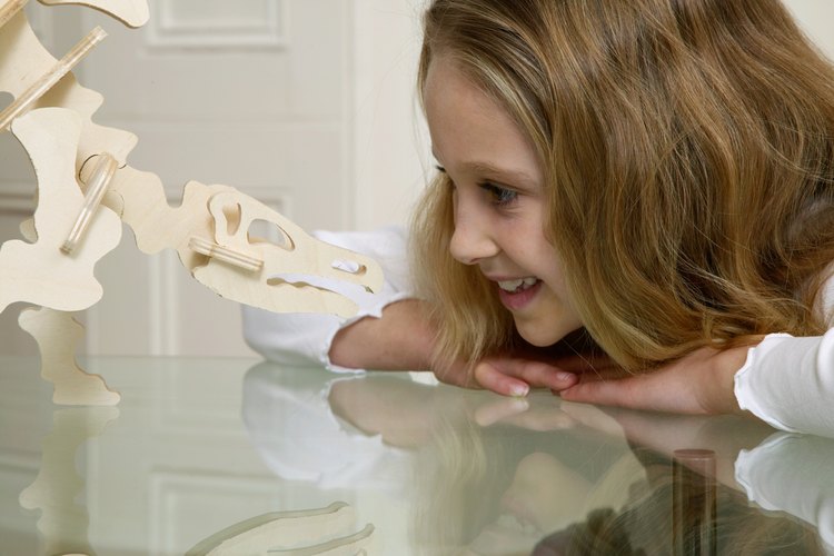 Los niños amantes de los dinosaurios pueden apreciar un viaje a un campamento de paleontología.