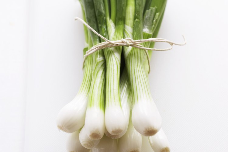 La cebolla verde es un buen aditivo para ensaladas y estofados.