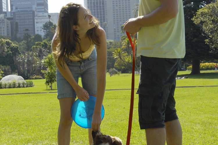 Entrenar a un perro es más fácil si es joven.