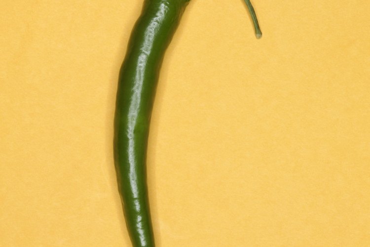 Los frutos se emplean tradicionalmente en la cocina, inmaduros y maduros, crudos, asados, cocidos, al horno, secos o en polvo.