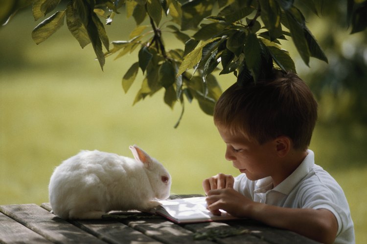 Los conejos son criaturas interesantes que pueden fascinar a los niños.