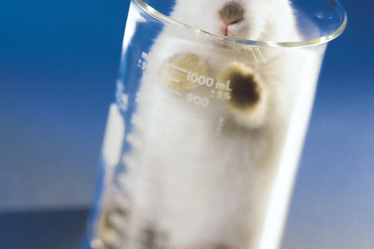 Elige una marca de pasta de dientes que no haga pruebas en animales.