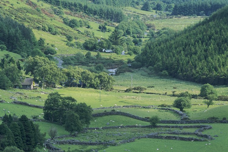 El de Irlanda todavía se habla en muchas partes de ese país.