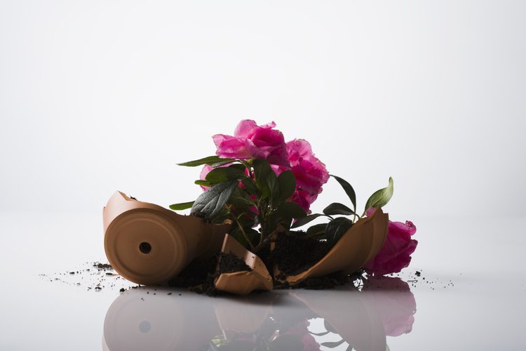 Un ladrón dará vuelta el jarrón de flores y encontrará rápidamente la llave extra.