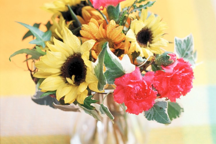 ¿Qué flores están en temporada en noviembre?