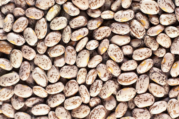Los frijoles pinto se encuentran entre las legumbres que más gases producen.