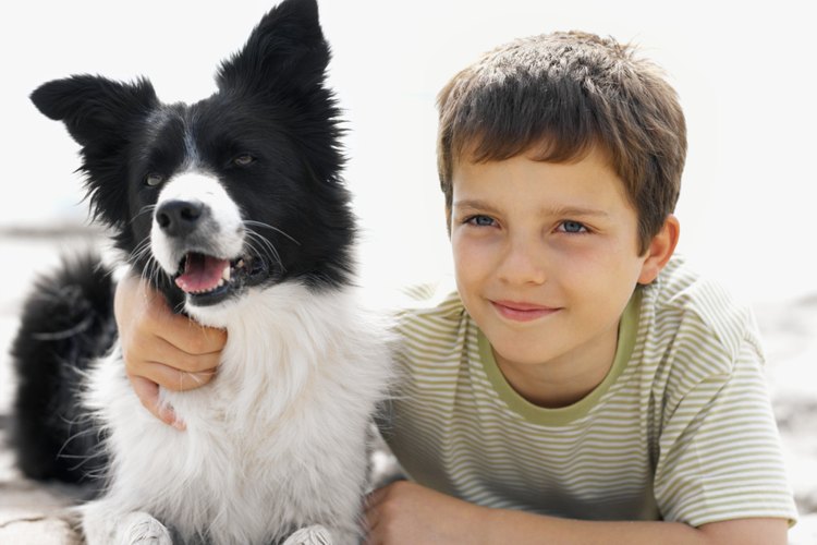 Los perros son excelentes mascotas para cualquier niño, en especial para uno con autismo.