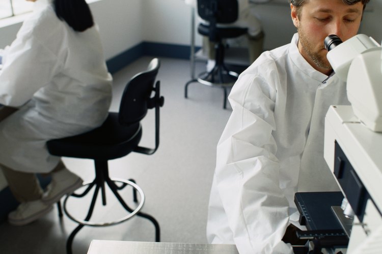 Los científicos necesitan determinar una hipótesis de investigación.