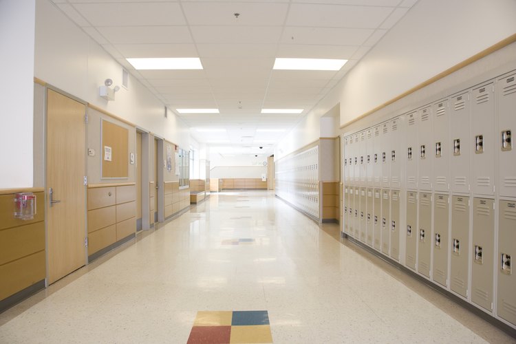 El trabajo en el área de educación especial normalmente requiere un título universitario.
