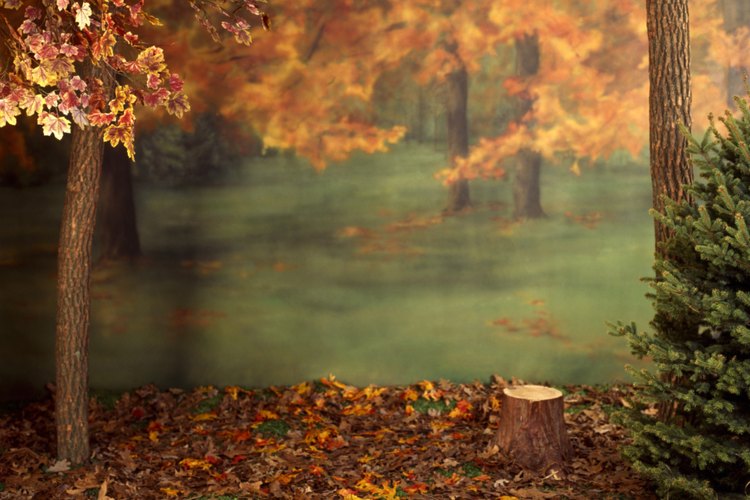 El otoño era un tema favorito de los poetas románticos.