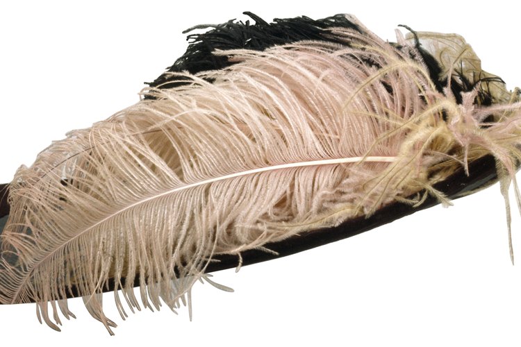 Los sombreros de mujer se hicieron más grandes durante el año 1900 y estaban adornados a menudo con plumas.