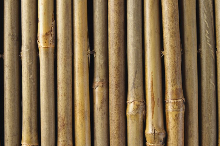 Las cañas de bambú se utilizan para muchos propósitos en el jardín.