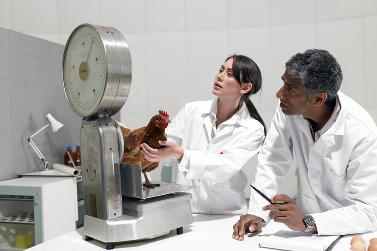 Los profesionales de la biología encuentran a la tercera mayor perspectiva de sueldo como asociados de investigación clínica.