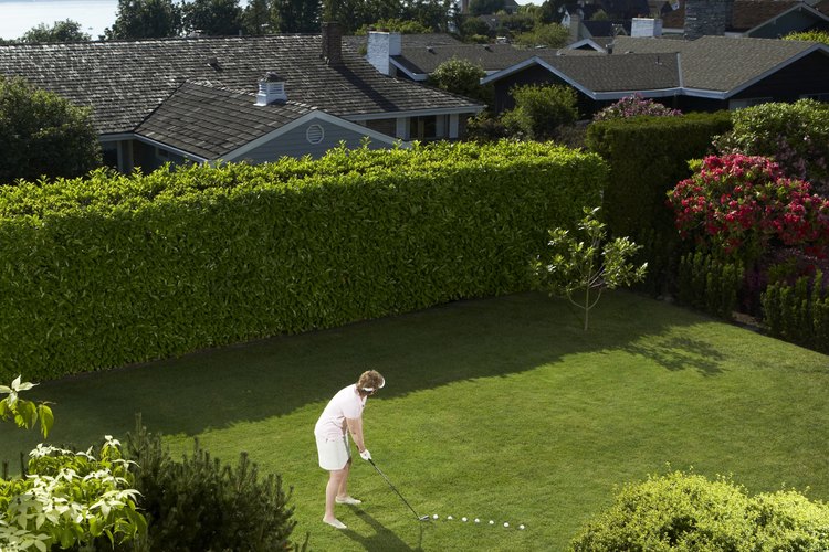 Los jardines sobre el techo son poco comunes.