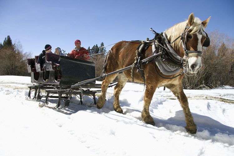 Incluso un carro construido a partir de un kit o comprado totalmente ensamblado debe equilibrarse antes de engancharlo a tu caballo, para seguridad del mismo.