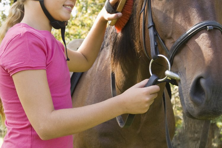 Los niños aprenderán a cabalgar y cuidar los caballos en los campamentos de verano en Michigan.