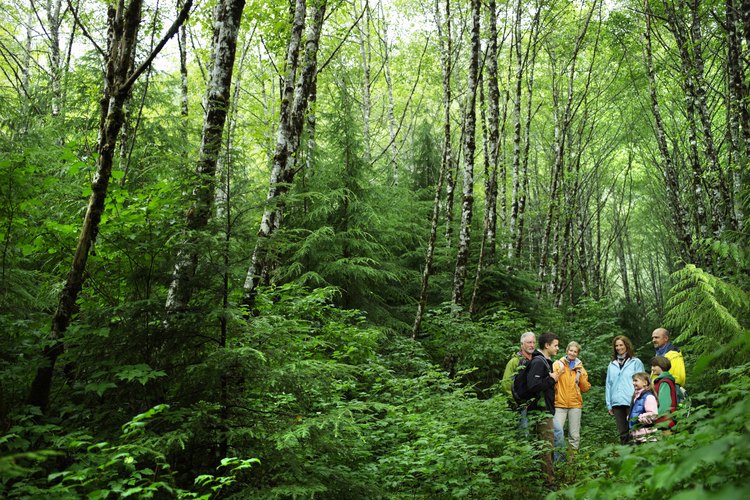En el parque Starved Rock puedes recorrer sus 13 millas de senderos que están abiertos todo el año.