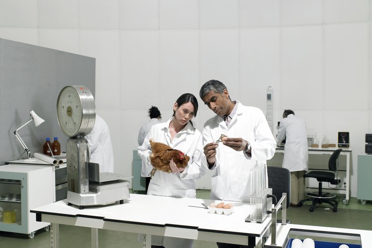 Laboratorio.