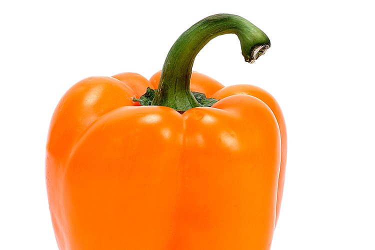 No importa que color de pimiento estés cosechando, alimentar a la planta correctamente es esencial.