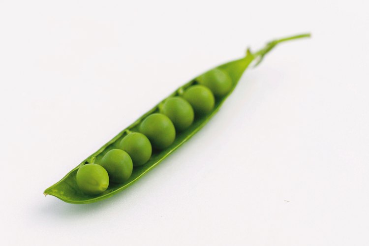 Guisantes