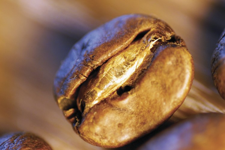 Puedes comprar granos de cacao tostados o tostarlos tú mismo en el horno.
