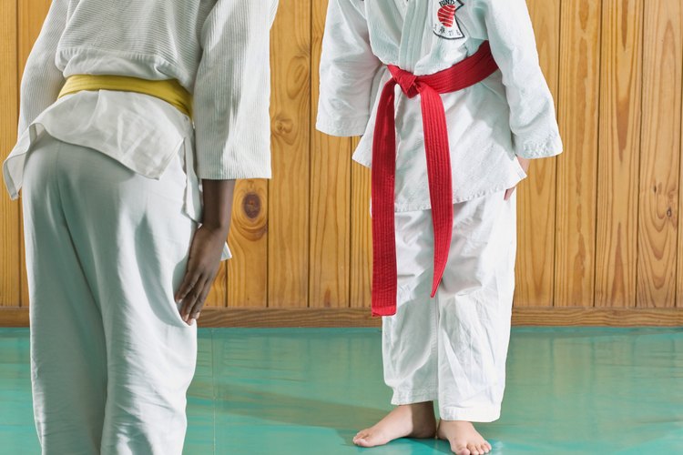 Los programas de deportes en Macon incluyen las artes marciales.