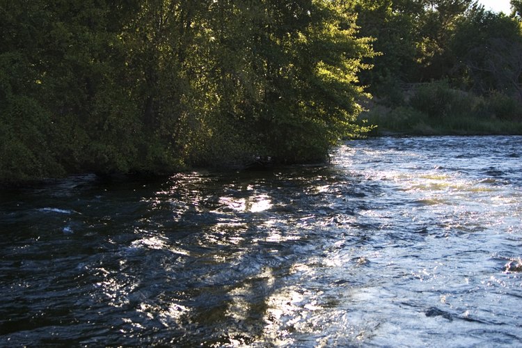 Reciclar ayuda a mantener la naturaleza en su estado más puro.