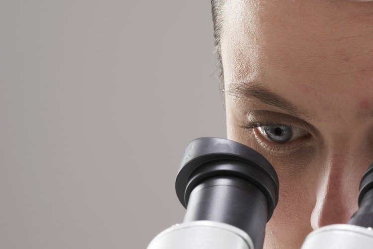 Los diseños de microscopios usan hipérbolas.