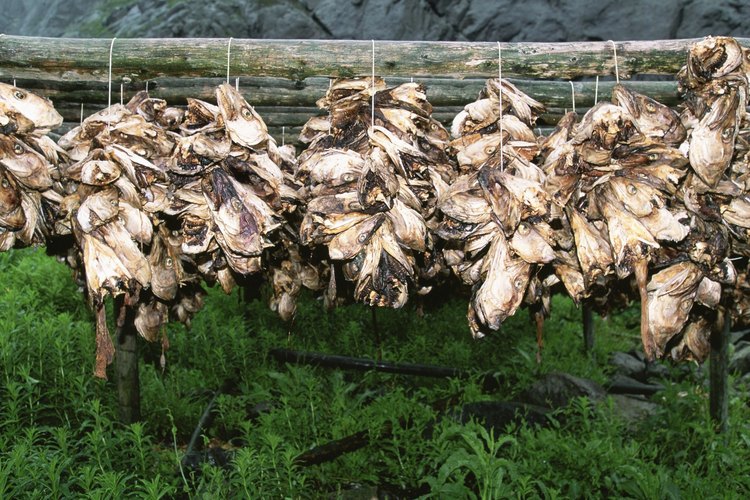 El bacalao salado es muy resistente. No se pudre con facilidad.