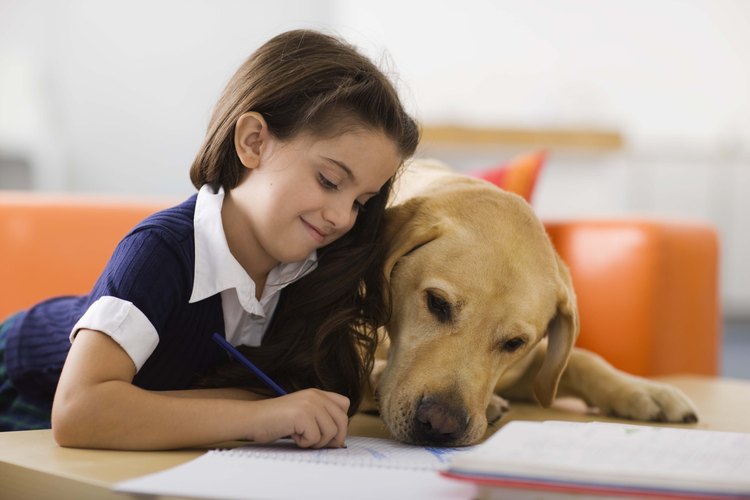 Enseñar a los niños sobre los animales domésticos les aydua a relacionarse con las mascotas tales como los perros.