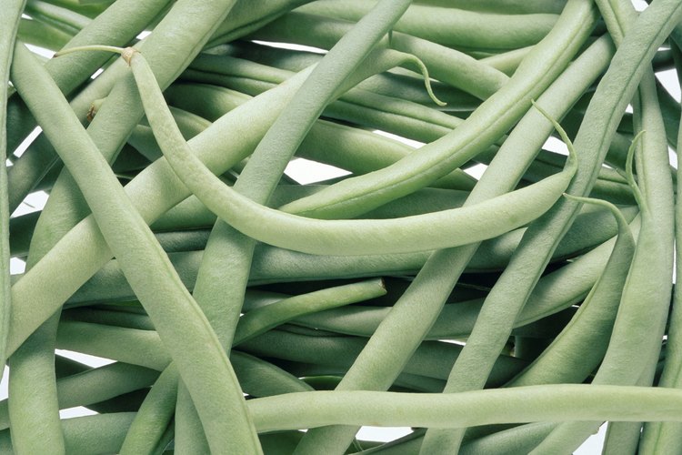 Como la mayoría de las verduras, es bastante fácil darse cuenta cuando las habichuelas están en mal estado.