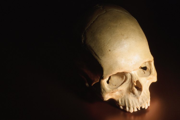 Los médicos forenses investigan las muertes para determinar cómo murió una persona, ya sea que se trate de homicidio, suicidio o muerte natural.