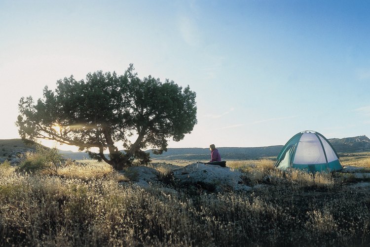 Una alternativa para acampar en el bosque: La Pradera Nacional Pawnee.
