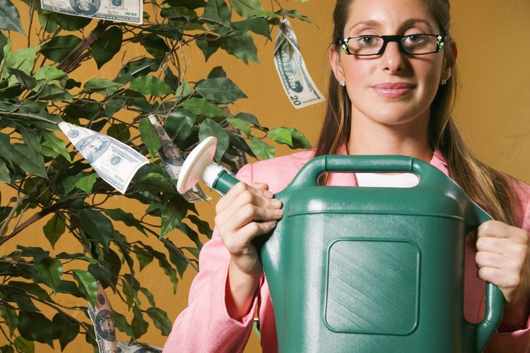 En la práctica del feng shui, se dice que el árbol del dinero atrae energía positiva y éxito financiero.