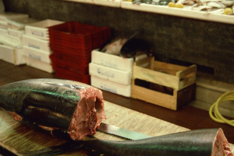 El atún es un pescado versátil el cual combina bien con varios ingredientes.