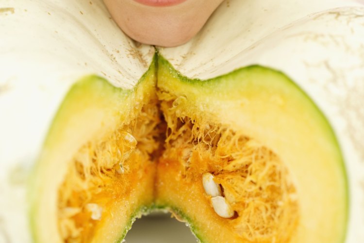 Dentro de la calabaza desde la pared de la pulpa crecen hebras fibrosas largas, donde están sus semillas que son comestibles.