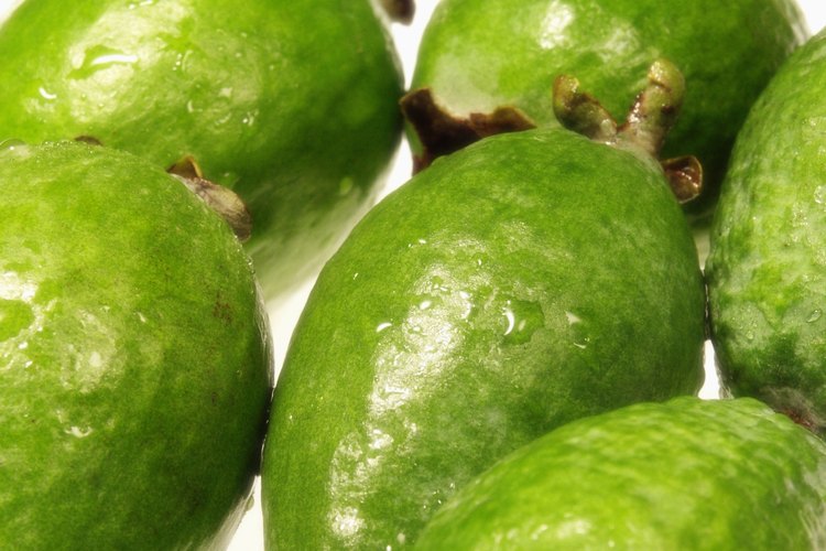 La guayaba es una fruta con forma de pera.