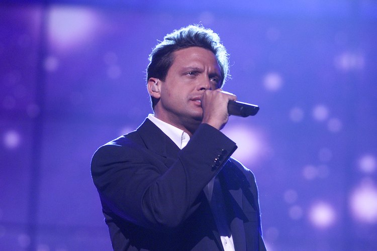 Luis Miguel comenzó su carrera musical en el año 1982.