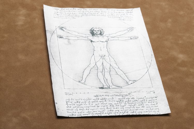 Da Vinci tenía conocimientos avanzados de anatomía humana.