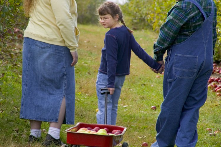 Visita un huerto para recoger manzanas frescas en el día de Johnny Appleseed.