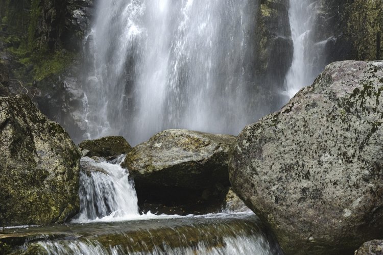 Adirodancks es el lugar ideal para disfrutar la naturaleza en estado puro.
