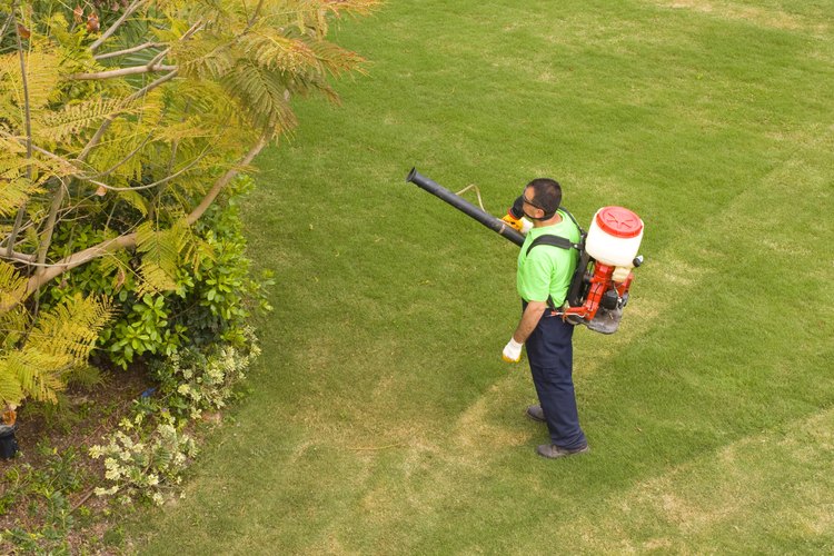 Las plantas y los vegetales son susceptibles a los insectos y a otras plagas.