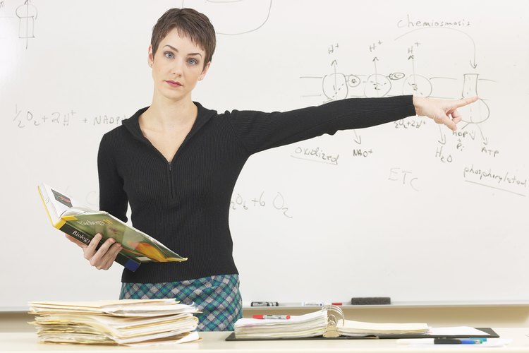 Los profesores adjuntos realizan las mismas tareas que los profesores de tiempo completo.