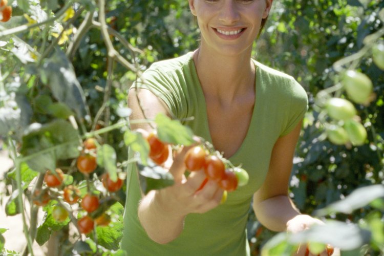 La agricultura orgánica es una manera saludable de introducir a los niños a los alimentos nutritivos.