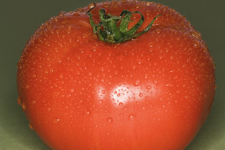 Los tomates pueden afectar el crecimiento de otras plantas.