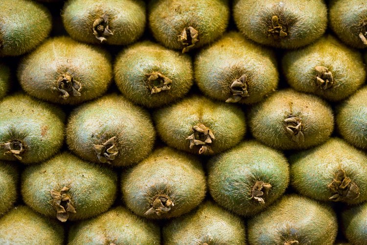 Los kiwis saben bien pero, ¿qué tipo de fruta son exactamente?