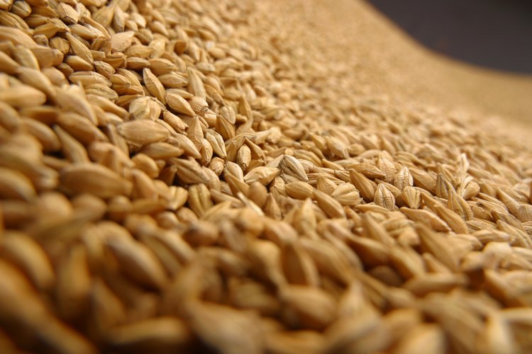 Conserva cereales durante años con los métodos de almacenamiento adecuados.