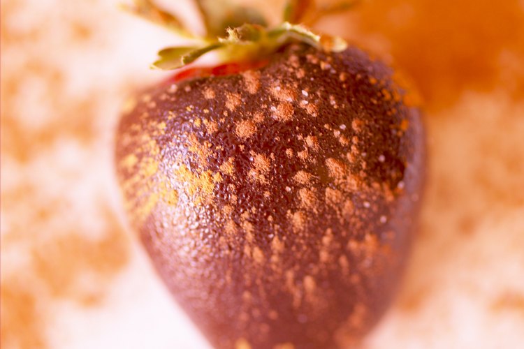 Las fresas cubiertas con chocolate son una postre decadente.