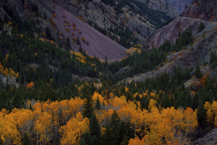 El pintoresco escenario de Ridgway ha aparecido en películas como